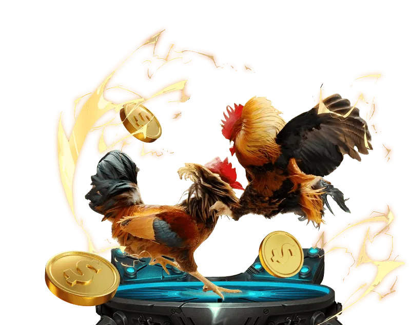 Hình ảnh một trận đá gà truyền thống ở Việt Nam, thể hiện lịch sử phong phú của bộ môn này